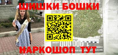 МДПВ Новозыбков