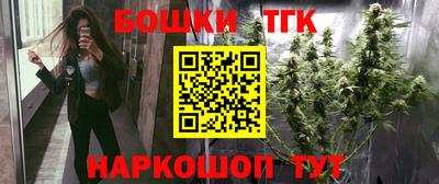 МДПВ Новозыбков