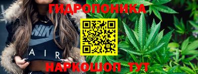 кристаллы Новодвинск