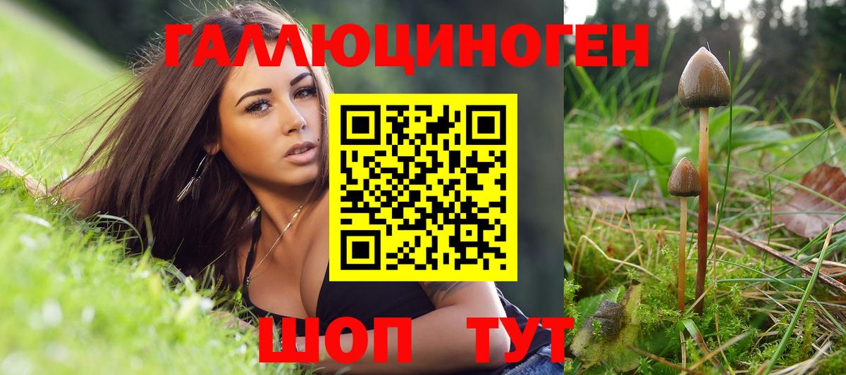 Галлюциногенные грибы Cubensis Тольятти