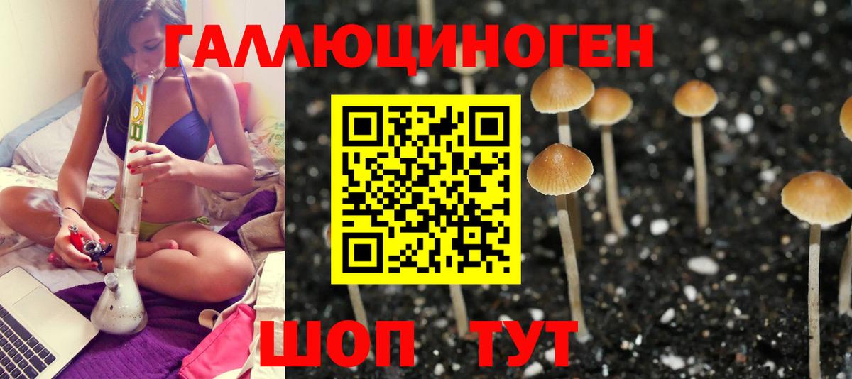 Галлюциногенные грибы Cubensis  купить наркоту  Тольятти  Галлюциногенные грибы мухоморы  Вход с VPN 